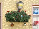 Schner Blumenschmuck statt Schnee zu Weihnachten 2014