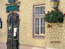 Schner Blumenschmuck statt Schnee zu Weihnachten 2014