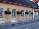 Schner Blumenschmuck statt Schnee zu Weihnachten 2014