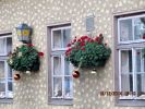 Schner Blumenschmuck statt Schnee zu Weihnachten 2014