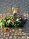 Schner Blumenschmuck statt Schnee zu Weihnachten 2014